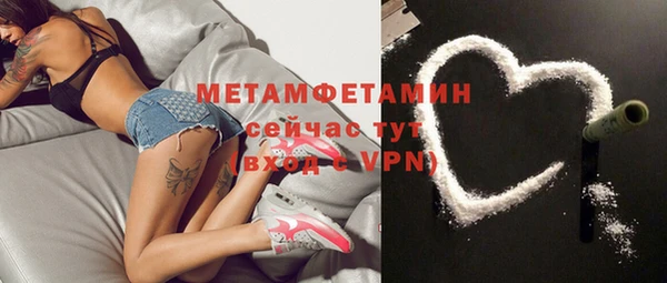 PSILOCYBIN Вяземский