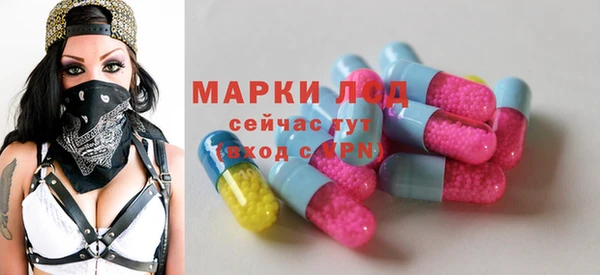 PSILOCYBIN Вяземский