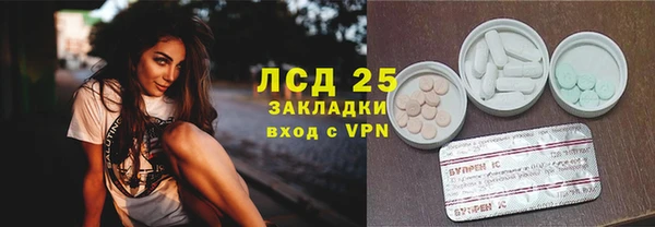 PSILOCYBIN Вяземский