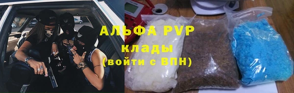 PSILOCYBIN Вяземский