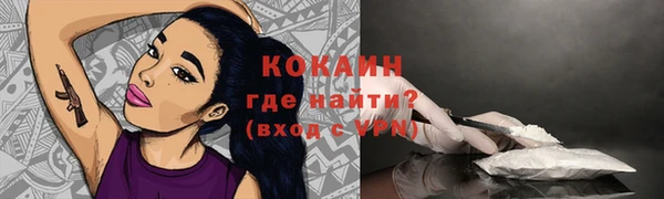 ешки Вязьма
