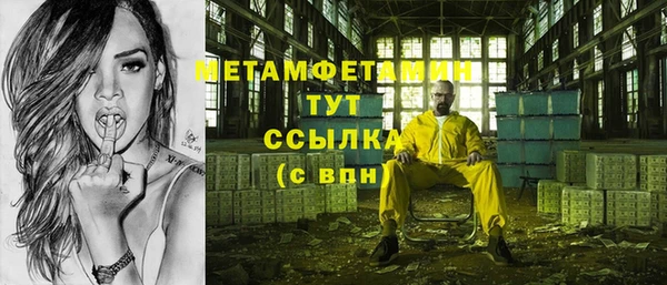 PSILOCYBIN Вяземский