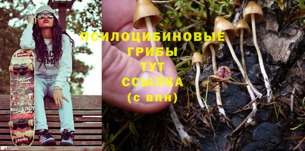 PSILOCYBIN Вяземский